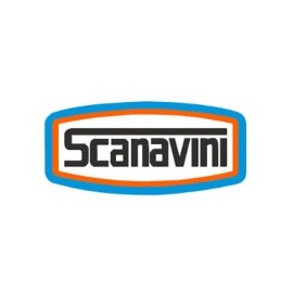 Scanavini